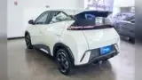 BYD Dolphin Mini - Miniatura 8