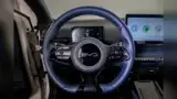 BYD Dolphin Mini - Miniatura 9