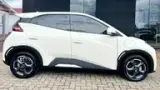 BYD Dolphin Mini - Miniatura 4