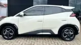 BYD Dolphin Mini - Miniatura 5