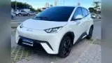 BYD Dolphin Mini - Miniatura 1