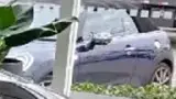BYD Dolphin Mini - Miniatura 2