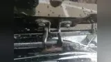 BYD Dolphin Mini - Miniatura 7