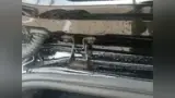 BYD Dolphin Mini - Miniatura 8