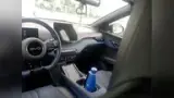 BYD Dolphin Mini - Miniatura 9