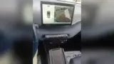 BYD Dolphin Mini - Miniatura 12