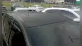 BYD Dolphin Mini - Miniatura 15