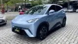 BYD Dolphin Mini - Miniatura 2