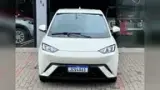 BYD Dolphin Mini - Miniatura 4