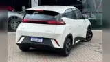 BYD Dolphin Mini - Miniatura 10