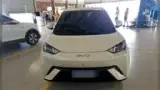 BYD Dolphin Mini - Miniatura 1