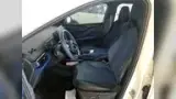 BYD Dolphin Mini - Miniatura 6