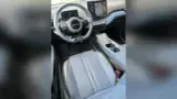 BYD Dolphin Mini - Miniatura 6