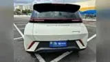 BYD Dolphin Mini - Miniatura 6