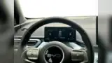 BYD Dolphin Mini - Miniatura 11