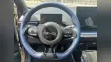 BYD Dolphin Mini - Miniatura 10