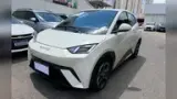 BYD Dolphin Mini - Miniatura 1