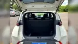 BYD Dolphin Mini - Miniatura 14