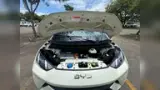 BYD Dolphin Mini - Miniatura 16