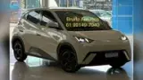 BYD Dolphin Mini - Miniatura 1