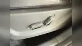 BYD Dolphin Mini - Miniatura 17
