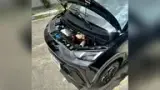 BYD Dolphin Mini - Miniatura 20