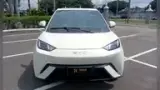 BYD Dolphin Mini - Miniatura 2