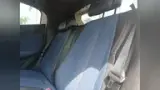 BYD Dolphin Mini - Miniatura 9