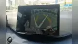 BYD Dolphin Mini - Miniatura 13