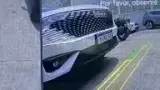 BYD Dolphin Mini - Miniatura 15
