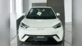 BYD Dolphin Mini - Miniatura 1