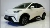 BYD Dolphin Mini - Miniatura 3