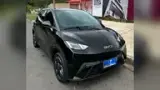 BYD Dolphin Mini - Miniatura 1