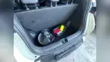 BYD Dolphin Mini - Miniatura 6