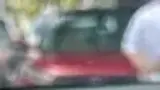 BYD Dolphin Mini - Miniatura 14