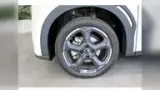 BYD Dolphin Plus - Miniatura 5