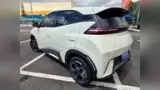 BYD Dolphin Mini - Miniatura 2