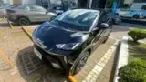 BYD Dolphin Mini - Miniatura 1