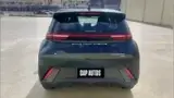 BYD Dolphin Mini - Miniatura 3