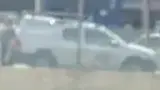 BYD Dolphin Mini - Miniatura 5