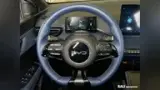 BYD Dolphin Mini - Miniatura 13