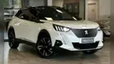 Peugeot E-2008 - Miniatura 1