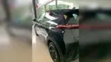 BYD Dolphin Mini - Miniatura 4
