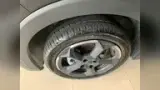 BYD Dolphin Mini - Miniatura 6