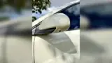 BYD Dolphin Mini - Miniatura 7