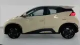 BYD Dolphin Mini - Miniatura 6