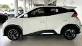 BYD Dolphin Mini - Miniatura 5
