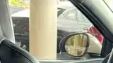 BYD Dolphin Mini - Miniatura 14