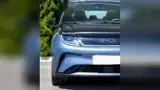 BYD Dolphin Plus - Miniatura 3