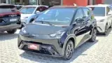 BYD Dolphin Mini - Miniatura 4